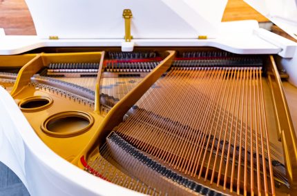 dzień pianina (1)